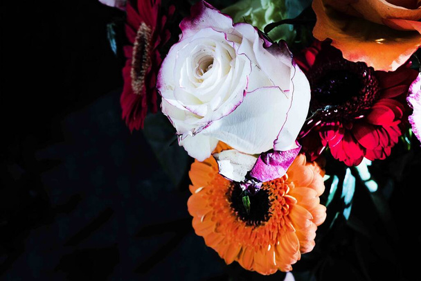 close up de flores bonitas, estúdio tiro  - Foto, Imagem