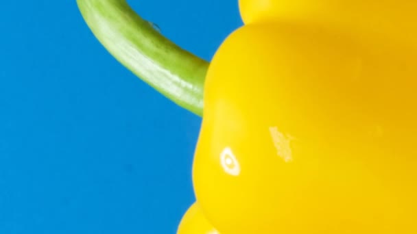 Gele peper Paprika op een blauwe achtergrond met waterdruppels. Draait in een cirkel. Verticale video. - Video