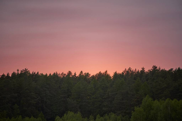 Το Horizon φωτίζεται με ζεστά χρώματα καθώς πέφτει το σκοτάδι πάνω από ένα ειρηνικό δάσος. Ένα ηλιοβασίλεμα πίσω από ένα πυκνό δάσος. - Φωτογραφία, εικόνα