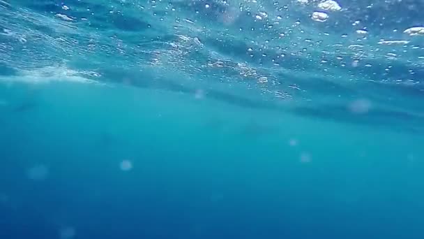 Olas artísticas submarinas del mar - Imágenes, Vídeo