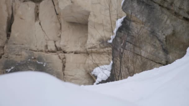 Κοντινό πλάνο του ανθρώπου με μαύρα χειμωνιάτικα ρούχα και γάντια που κουβαλούσε ξύλα μέσα από χιόνι και πέτρες. Ανάγκη των κορμών για την επιτυχή εμπειρία κάμπινγκ και την έναρξη της φωτιάς εξωτερική το χειμώνα. - Πλάνα, βίντεο