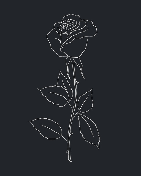 Розовый цветок с листьями на черном фоне. Силуэт белой розы. Черное и белое. Векторная иллюстрация - Вектор,изображение
