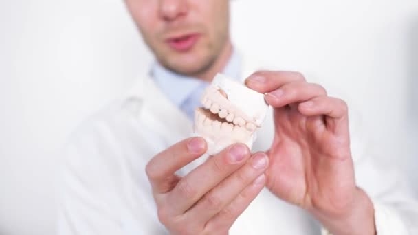 Tandtechnicus op zoek naar gips gegoten kaken tijdens het maken van kunstgebit in het laboratorium. Tandheelkundige gips modellen in tandheelkundig lab. Productie van verwijderbare kunstgebitten. Kunstmatige tandheelkunde. - Video