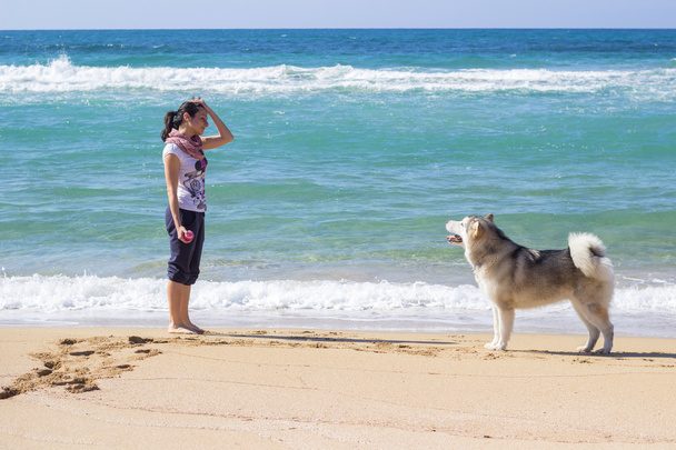 Κορίτσι με Εσκιμώων σκυλί - Φωτογραφία, εικόνα