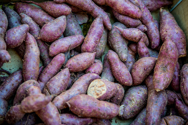 Φρέσκια γλυκοπατάτα, Ταϊλάνδη. - Φωτογραφία, εικόνα