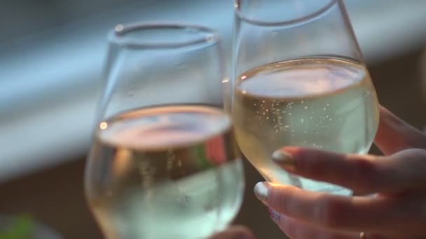 Woman and man clink glasses of wine - Felvétel, videó