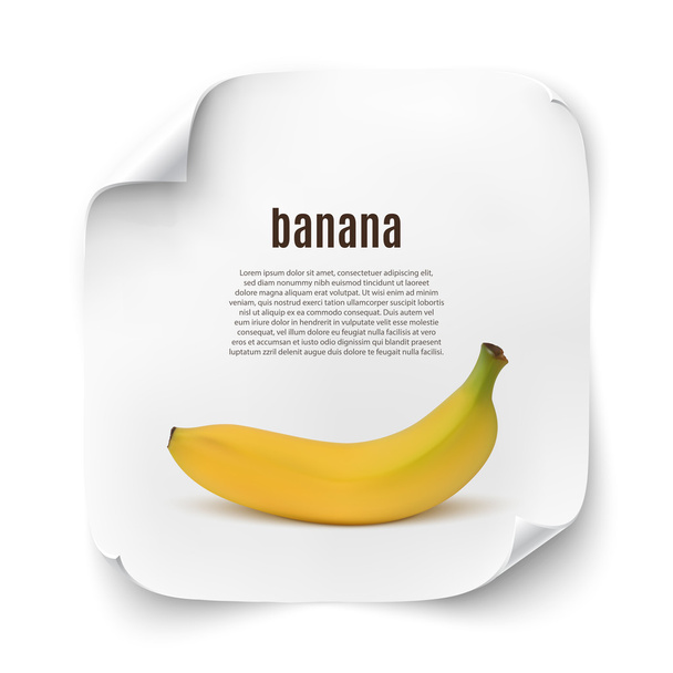 Background with realistic banana. - Vector, afbeelding