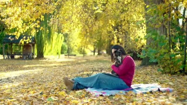Herbst Freelance: Mädchen arbeiten online inmitten gelber Blätter mit Haustierhunden. Hochwertiges 4k Filmmaterial - Filmmaterial, Video