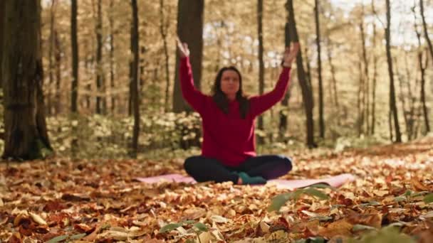 Arany nyugalom leleplezve: A jóga és a meditáció egészséges utazása ősz közepén vászon. Kiváló minőségű 4k felvételek - Felvétel, videó