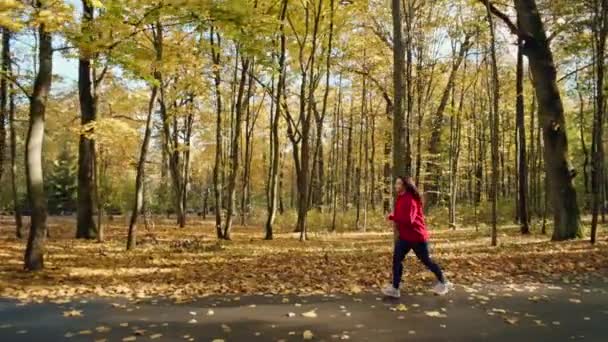 Kövér húsevő nő kocog az őszi parkban. Egy lány sportruhában sárgalevélen fut, fitnessz és dolgozz magadon, kalóriát égetve. Kiváló minőségű 4k felvételek - Felvétel, videó