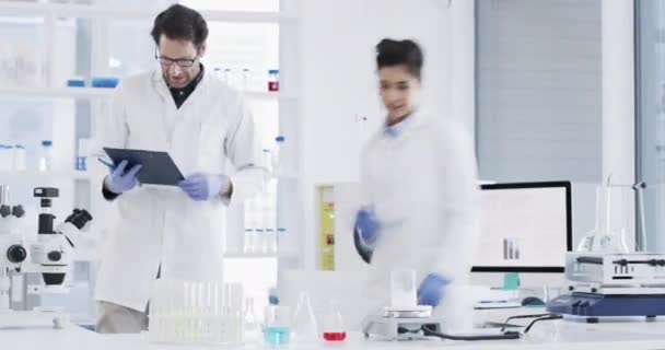 Wetenschapper, mensen en teamwork in de chemie voor laboratoriumonderzoek, medische test en mentor met checklist documenten. Wetenschap man, vrouw of expert in biotechnologie, microscoop en data in time lapse. - Video