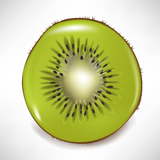 plátky kiwi ovoce, samostatný - Vektor, obrázek