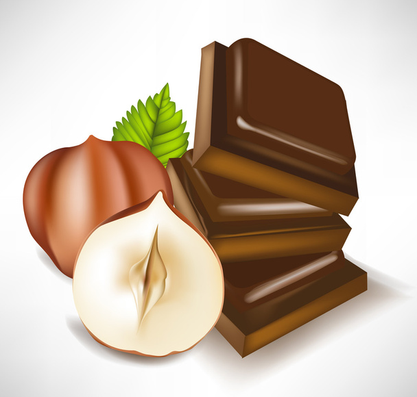 chocolate pieces and hazelnuts isolated - Vector, Image
