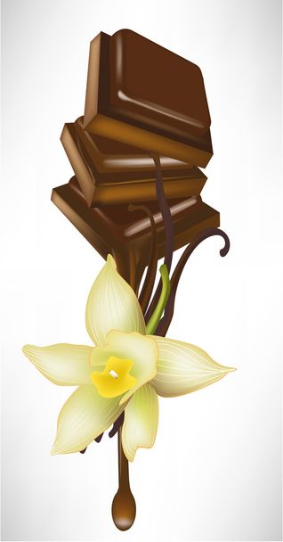 vanilla and chocolate tablet melting - Vector, Image