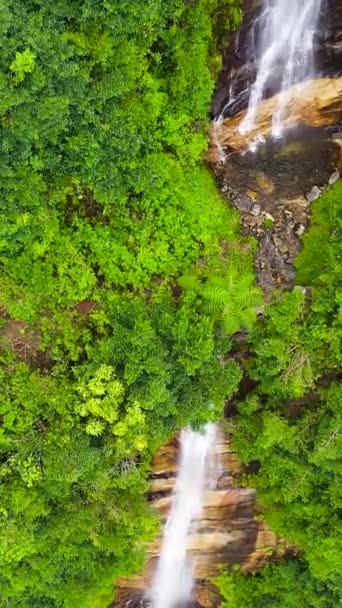 Красивый водопад среди тропических лесов и растительности. Шри-Ланка. - Кадры, видео