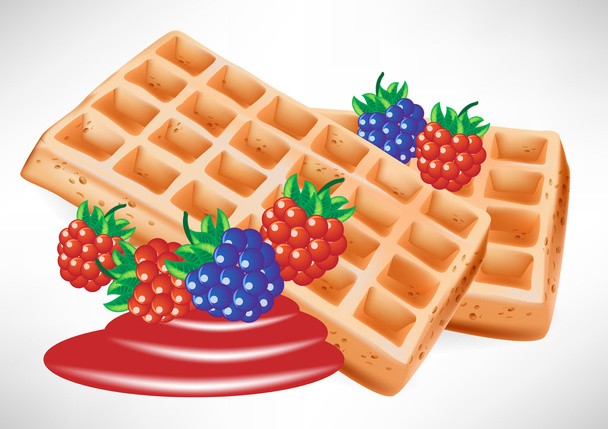 two belgian waffles with berry - Vector, Image
