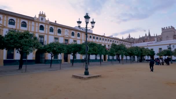 Näkymä Patio de Banderasin sisäpihalle Sevillassa, Espanjassa. Tilava neliö oranssi puita, ympäröivät historialliset rakennukset, josta on näkymät Giralda torni, vieressä Real Alcazar de Sevilla. - Materiaali, video