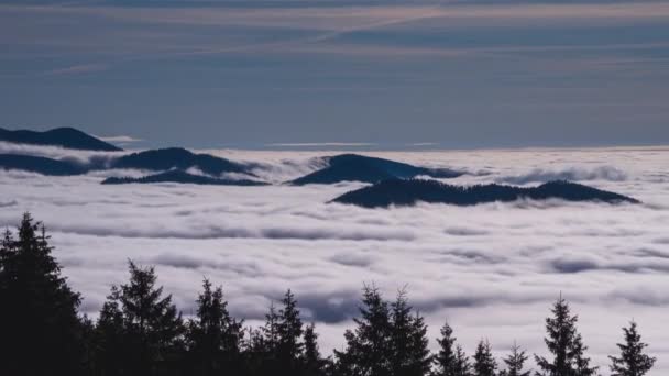 Ομιχλώδη σύννεφα κινούνται γρήγορα στο δάσος κοιλάδα του βουνού στο όμορφο τοπίο της φύσης. Χρονικό κενό, κλίση προς τα κάτω.  - Πλάνα, βίντεο