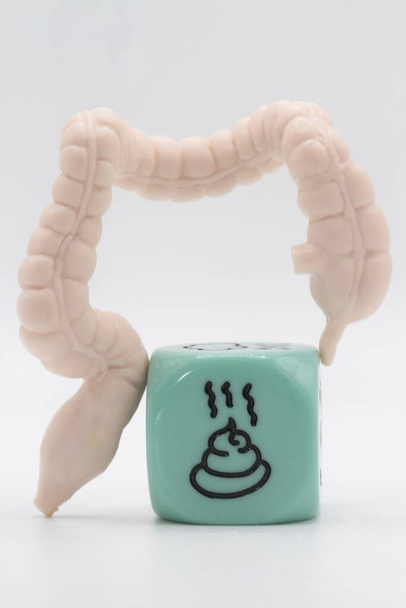 миниатюра человеческого кишечника с символом какашек - Фото, изображение