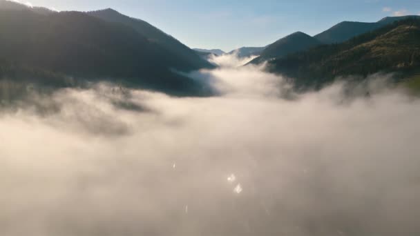Leć nad mglistymi chmurami w alpejskiej dolinie jesiennej przyrody. Widok z lotu ptaka krajobraz, Podróże tło. - Materiał filmowy, wideo