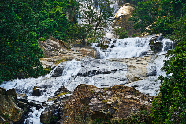 滝デヴォン - 写真・画像