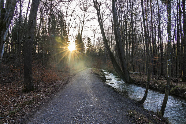 Rays of sunshine fall on the path beside the Brunnenbach stream in Siebenbrunn, the smallest district of the Fugger city of Augsburg, on a winter's day with a blue sky - Photo, Image