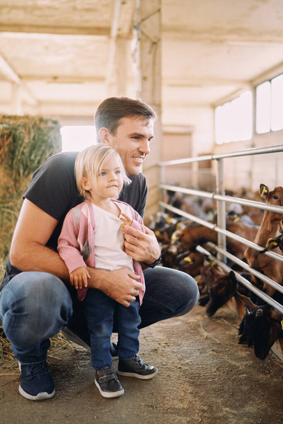 Papá se puso en cuclillas abrazando a una niña frente a un corral con niños de cabra. Foto de alta calidad - Foto, imagen