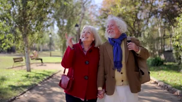 Video de una feliz pareja de ancianos paseando por un parque juntos tomados de la mano y hablando en un día soleado - Metraje, vídeo