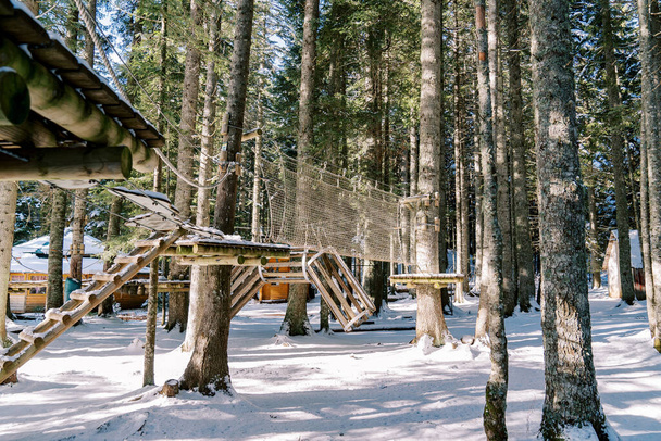 Парк пригод у сніжному хвойному лісі з дерев'яними будинками. Високоякісна фотографія - Фото, зображення