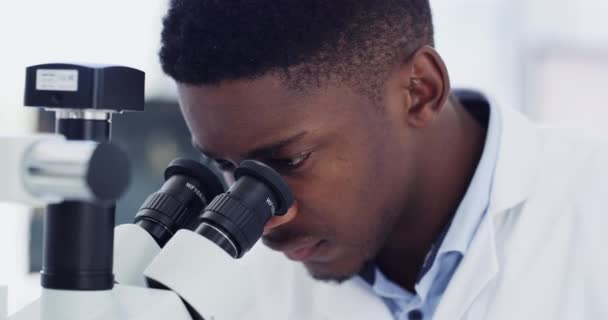 Mens, wetenschap en microscoop voor laboratoriumonderzoek, plantenonderzoek en milieuvriendelijke geneeskundeanalyse met een glazen glaasje. Wetenschapper of een Afrikaanse student met medische blaadjes, biotechnologie en lenscontrole. - Video