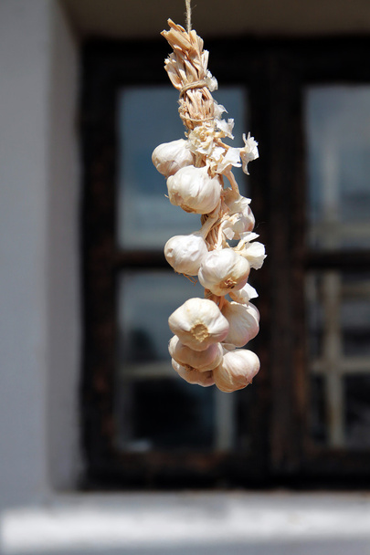 Garlic bundle - Photo, Image