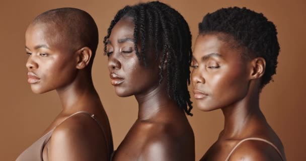 Kauneus, kasvot tai mustat naiset malleja hehkuva iho tai afro eristetty ruskealla taustalla. Kasvojen dermatologia, monimuotoisuus tai ihonhoito meikit studiossa tyttöystävien tai afrikkalaisten kanssa. - Materiaali, video