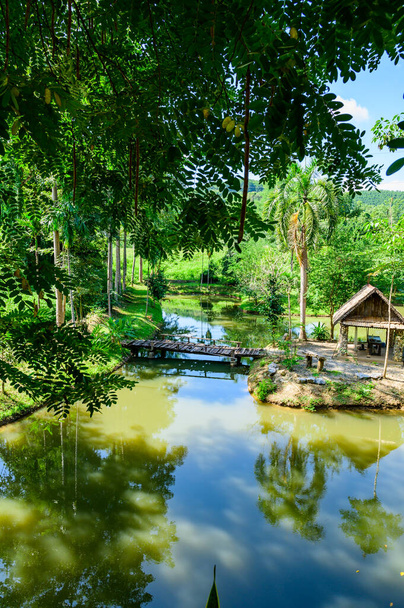 Φυσικό πάρκο στην επαρχία Nan, Ταϊλάνδη. - Φωτογραφία, εικόνα