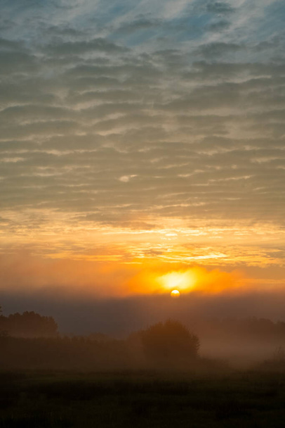 O sol nasce majestosamente, lançando um brilho dourado através da névoa matinal que envolve os campos. O céu é uma tela de nuvens texturizadas, que vão desde a luz suave do amanhecer até os azuis mais profundos - Foto, Imagem