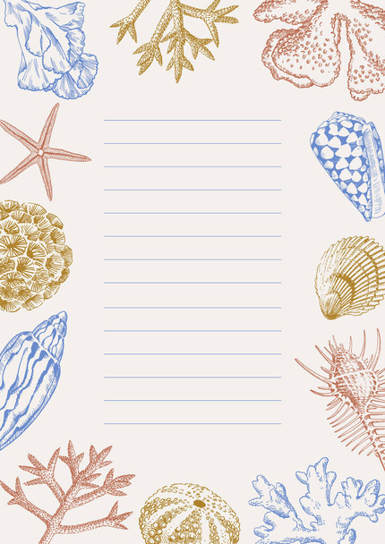 Fogli di quaderno vuoti con conchiglie e disegni di coralli. Modello di design di confine, banner illustrativo estivo - Vettoriali, immagini
