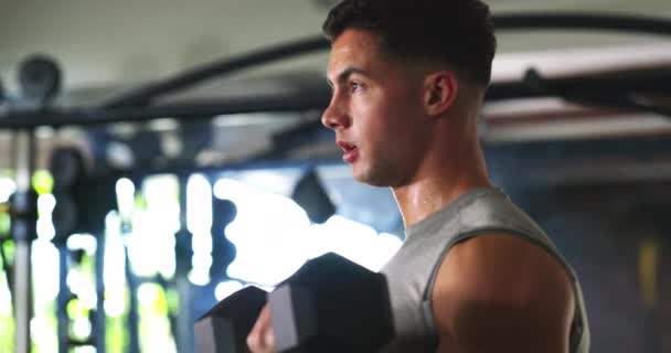 ダンベル, 汗の男と運動腕の強さ, 二重筋肉の開発と体重トレーニングの挑戦, 努力やハードワーク. スポーツコミットメント,フィットネスジム機器,アスリートボディービルディングワークアウト. - 映像、動画