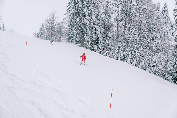 Gli sciatori scendono lungo la pista da sci con paletti rossi. Foto di alta qualità - Foto, immagini