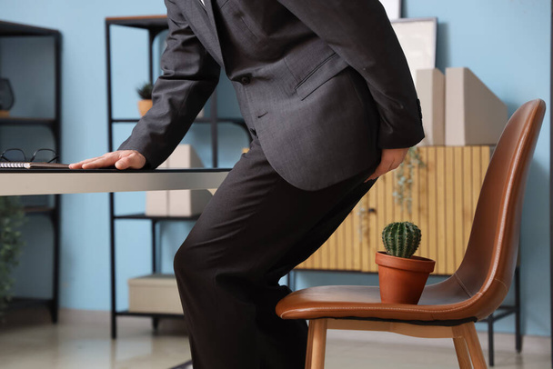 Young businessman with hemorrhoids and cactus on chair in office - Foto, afbeelding
