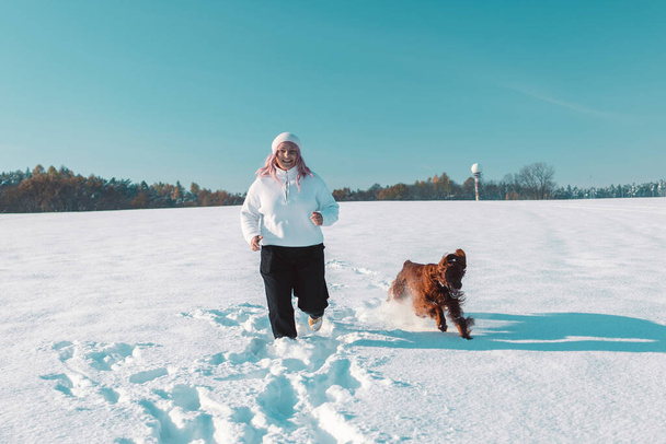 Aktif İrlandalı Setter köpeği, kar yürüyüşü sırasında yavaş çekim yapan bir kadın güzel güneşli kış gününde kış parkında eğleniyor. Yüksek kaliteli FullHD görüntüler - Fotoğraf, Görsel