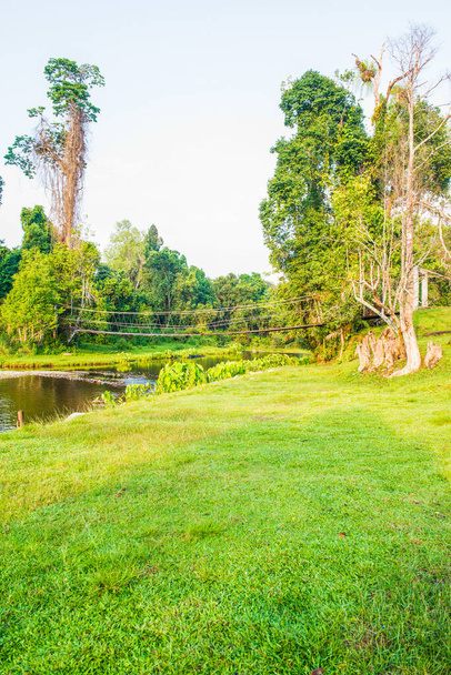 touwbrug in nationaal park, thailand - Foto, afbeelding