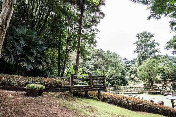 Paisaje vista del jardín Mae Fah Luang, Tailandia. - Foto, Imagen