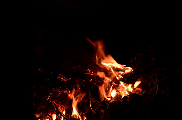Bonfire. - Fotoğraf, Görsel