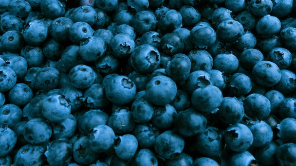 Fresh blueberry as a background. Texture blueberry berries close up. - Photo, Image