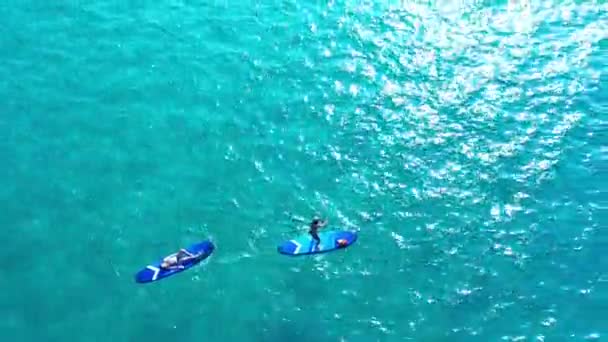 海,リラックス,人々は青い水,自由,熱帯の休日のドローンから乗船します. 楽しい,スポーツと冒険,上からの海での旅行休暇のためのパドルボード上の友人のカップル - 映像、動画