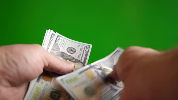 Un hombre cuenta dólares con un fondo verde - Metraje, vídeo