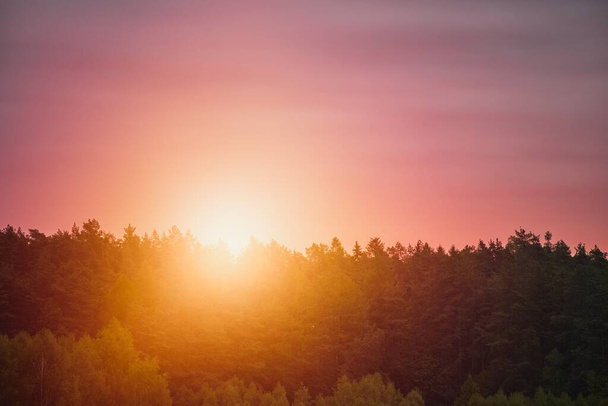 Sonnenuntergang über dem Wald. Ein Sonnenuntergang glüht hinter einem dichten Wald und schafft eine wunderschöne Baumsilhouette gegen den Abendhimmel. - Foto, Bild