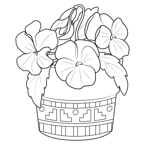 Violets in a pot outline icons. Black and white Violets, pansies. Coloring page for kids and adults. Vector illustration - Vector, Imagen
