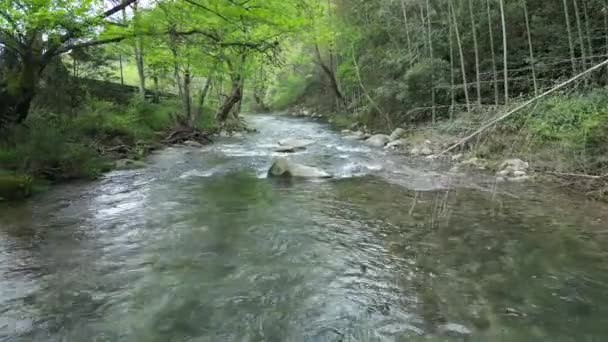 Ormandaki nehirdeki kayaların üzerinden akan dere suyu. - Video, Çekim