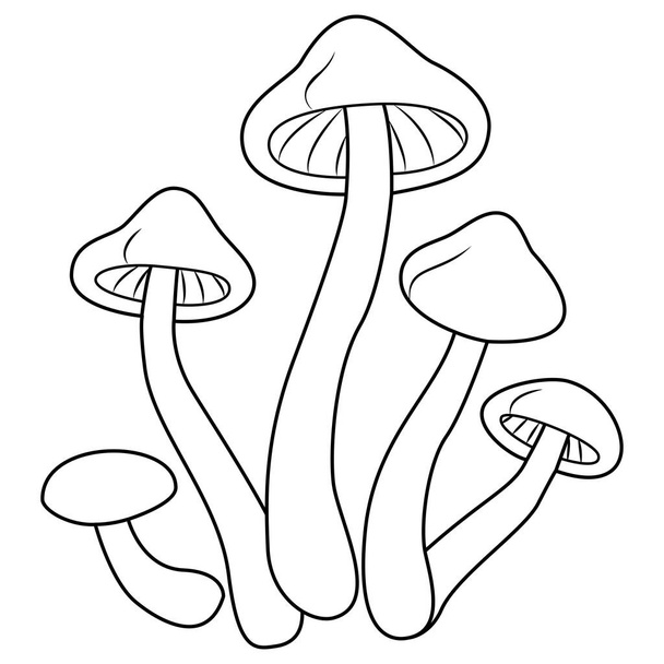 Honey agaric. Fresh shimeji mushrooms. white button isolated. Vintage. Coloring page. Vector illustration. - Vektor, obrázek