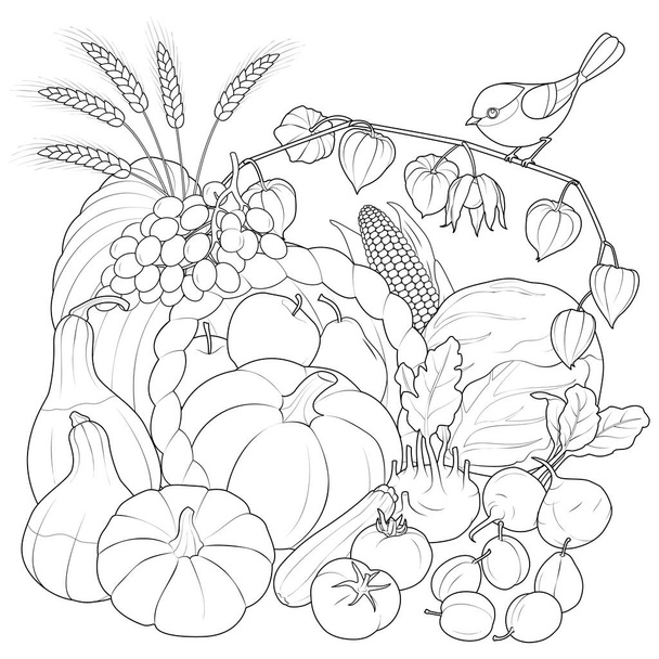 Autumn Harvest vegetables and fruits with bird. black and white vector illustration. Coloring page for kids and adults. Vector illustration - Вектор,изображение